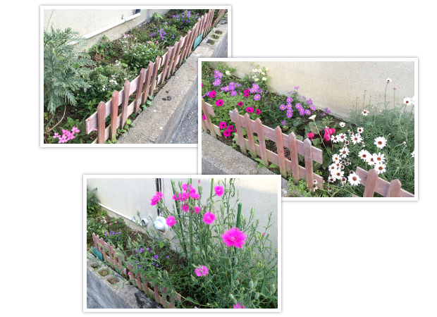 会社クリーン写真